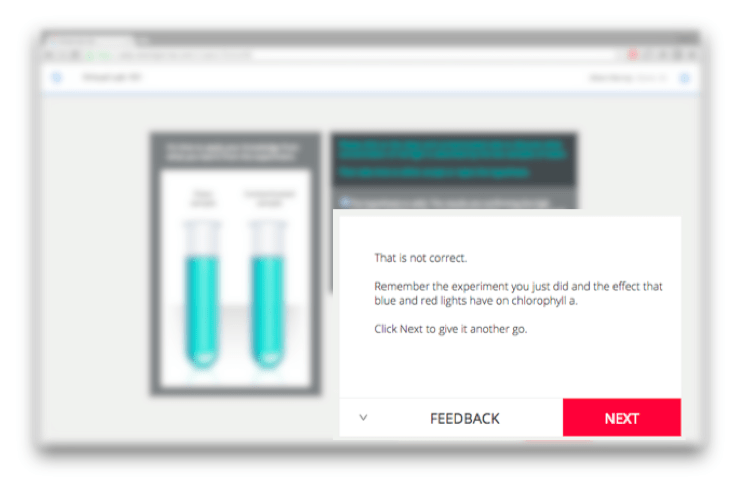 Feedback to prompt reflection