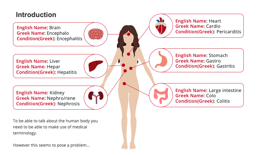 Human body key terminology